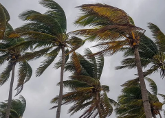 ALERTA! Inmet prevê vendaval em mais de 115 cidades da Paraíba