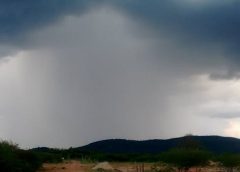 Chuvas reduzem seca na Paraíba em fevereiro, aponta Monitor da Secas