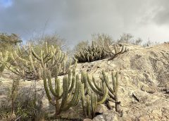 Inmet emite alerta de chuvas intensas para mais de 70 cidades da Paraíba