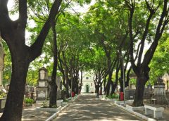 Mais de 80% das sepulturas de cemitérios municipais de João Pessoa são regularizadas