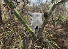 Governo Federal reconhece situação de emergência em duas cidades paraibanas 