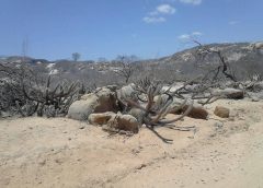 Inmet emite alerta de baixa umidade do ar para 138 municípios da Paraíba