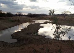 Governo federal reconhece situação de emergência em seis cidades da Paraíba
