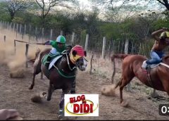 Cavalo Delicado vence o desafio de Prado em São Sebastião do Umbuzeiro