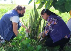 Aprovados no concurso da Saúde de João Pessoa serão convocados em janeiro
