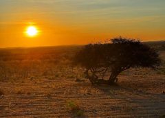 Inmet alerta para baixa umidade em 100 cidades da Paraíba