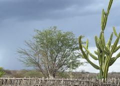 Inmet emite novo alerta de fortes chuvas para todas as cidades da Paraíba