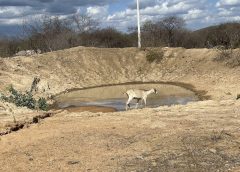 Paraíba chega a 124 cidades em situação de emergência