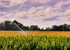 Produtores rurais precisam atualizar cadastro para garantir desconto na tarifa de energia elétrica