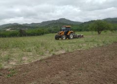 Prefeitura de São João do Tigre segue avançando com o corte de terra