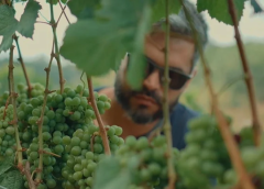 Nova geografia do vinho no nordeste: os ‘terroirs’ de Bananeiras começam a ganhar destaque