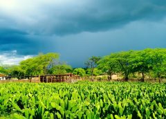 Inmet coloca todos os municípios da Paraíba sob alerta de fortes chuvas